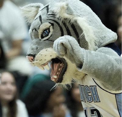 Profile of the Baruch Bearcat mascot with arms raised