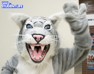 Baruch Bearcat mascot waving